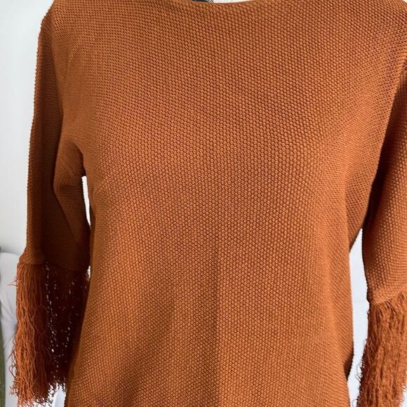 Rodebjer Ghirardelli's Cinnamon Fringe Sweater NWT M - Picture 3 of 9